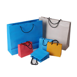 Paper Bag
